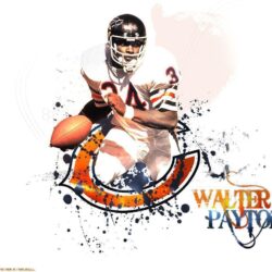 chicago bears photo chicago bears wallpapers high resolution image