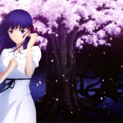 Fate/stay Night Movie: Heaven’s Feel HD Wallpapers