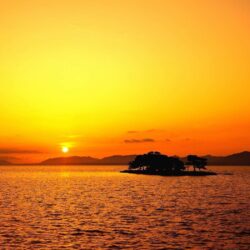 Rising sun sunrise wallpapers HD Wallpapers & Backgrounds rising