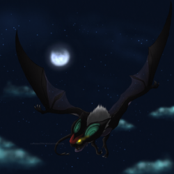 Any awesome Noivern or Zoroark wallpapers out there? : pokemon