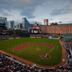 Baltimore Orioles Screensavers and Wallpapers
