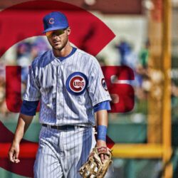 Backgrounds For Kris Bryant Wallpaper Backgrounds