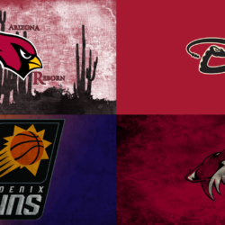 I wanted a backgrounds for my laptop with the 4 major AZ Sports