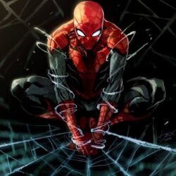 Marvel Spiderman Wallpapers