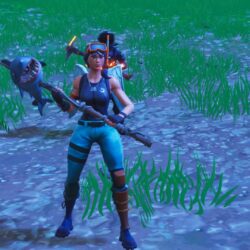 Can someone take a screenshot of them using snorkel ops with wings