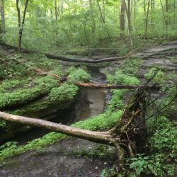 Hell’s Hollow McConnell’s Mill State Park Pennsylvania [OC