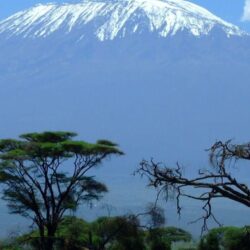 Earth/Mount Kilimanjaro