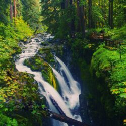 Olympic National Forest Wallpapers, Olympic National Forest Full