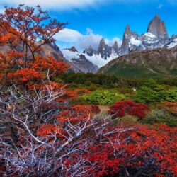 Colorful countryside Patagonia wallpapers and image
