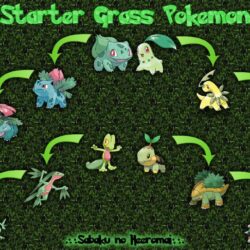 Grass Pokemon Wallpapers by SabakuNoHeeromai