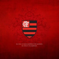 Papéis de parede do Flamengo