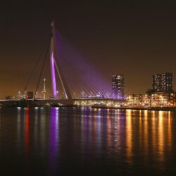 Modern: Rotterdam Netherlands Night Bridge Phone Wallpapers for HD