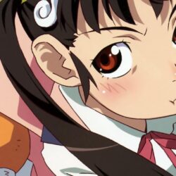 Download wallpapers bakemonogatari, hachikuji mayoi, girl