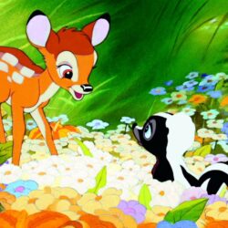 Bambi Wallpapers 20