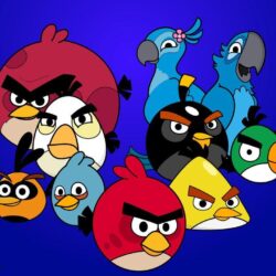 angry birds wallpapers – Life Quotes