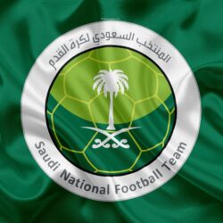 Download wallpapers Saudi Arabia, national football team, logo