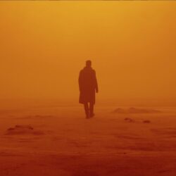 Wallpapers Blade Runner 2049, Ryan Gosling, best movies, Movies