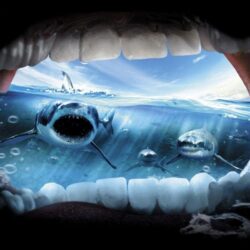Funny wallpapers Jaws