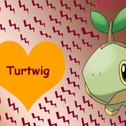 Turtwig Wallpapers by TzortzinaErk