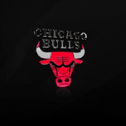 Chicago Bulls NBA Logo Art