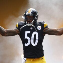 NFL: Steelers LB Ryan Shazier on the verge of a breakout