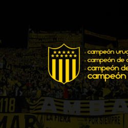 Wallpapers ~ Dale Peñarol