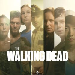 The Walking Dead Wallpapers