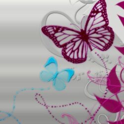 butterfly designs wallpapers