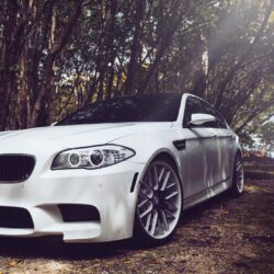 Bmw m5 f10 white wallpapers