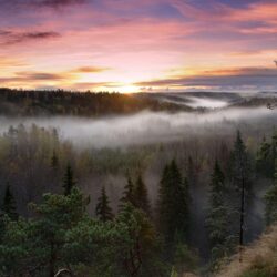 Nuuksio National Park, Finland wallpapers and image