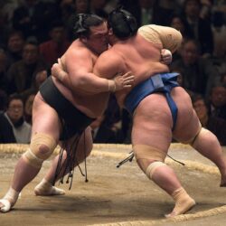 wrestling sumo sports HD wallpapers