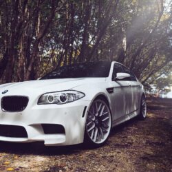 BMW M5 F10 White Car HD Wallpapers