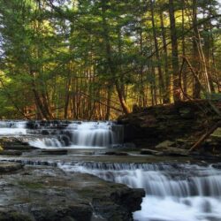 Pennsylvania Tag wallpapers: Forest Logan Usa Nature Run Falls
