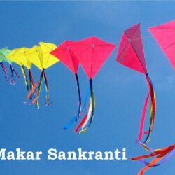 Happy Makar Sankranti Wallpapers