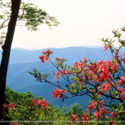 Blue Ridge Mountains North Carolina Wallpapers