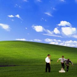 Office Space, XP Bliss style [] : wallpapers