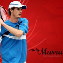 Andy Murray image Andy wallpapers 