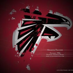 Falcons HD Wallpapers