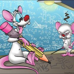 My Pinky and The Brain Personality – Zombie Muse