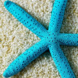 Beach Starfish Samsung Galaxy A7 Wallpapers HD Desktop