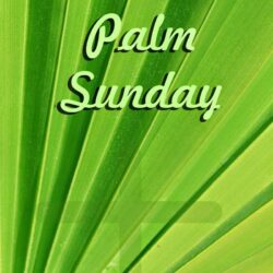 Palm Sunday: Quotes, image and wallpapers for Celebration of Palm