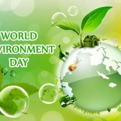 World Environment Day Hd Wallpapers