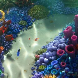 Finding Dory Wallpapers Best Movie Wallpapers