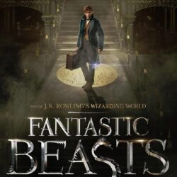 Fantastic Beasts and Where to Find Them HD Desktop Wallpapers