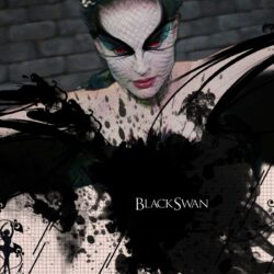 Pin The Black Swan Movie Wallpapers On Pinterest PX