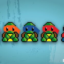 tmnt squirtle?