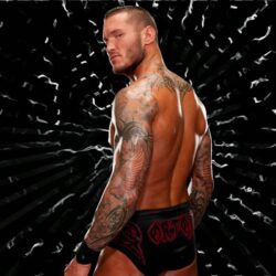 Randy Orton Hd Free Wallpapers