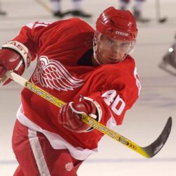 Henrik Zetterberg~Detroit Red Wings