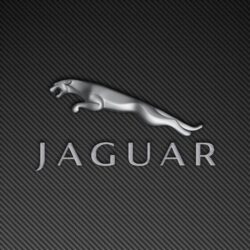 Jaguar XF Front Brake Disc and Pad Replacement