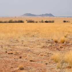africa south africa namibia landscape desert savannah HD wallpapers